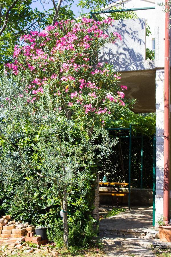Bilini Garden Apartment Pula Exterior foto